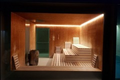 sauna-1