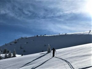 Skiier on snowy slope