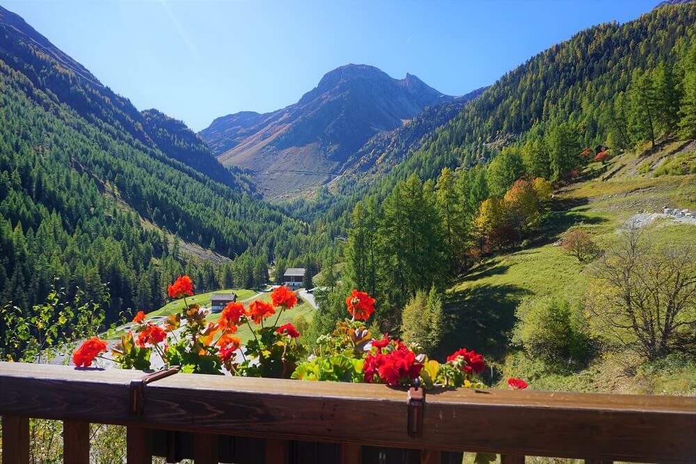 Les Géraniums de Grimentz