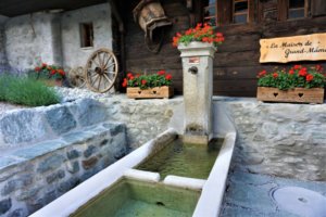 Flowers by building