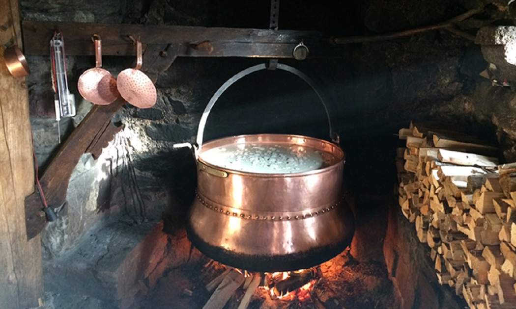 cheese making