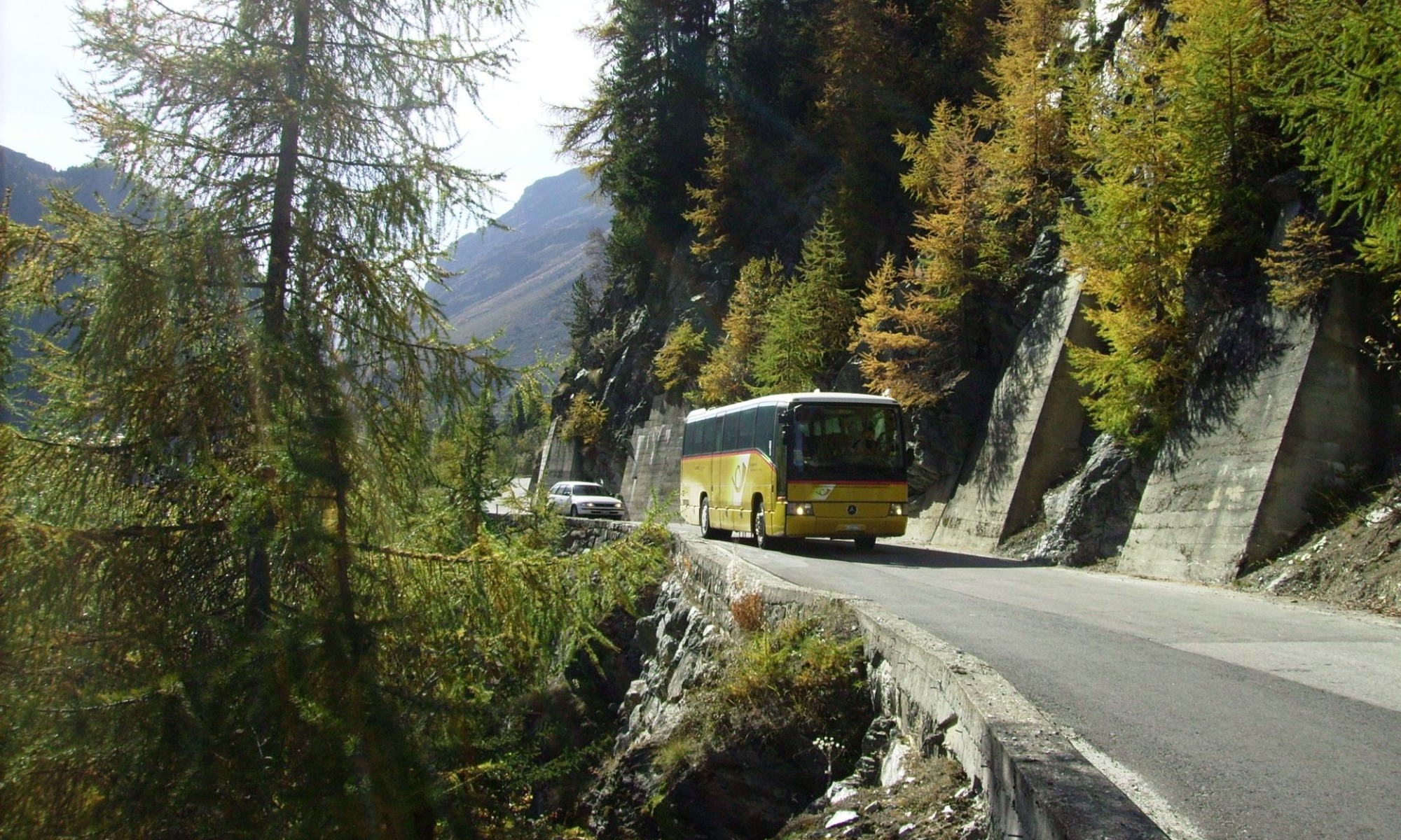 Shuttle-Bus Grimentz 