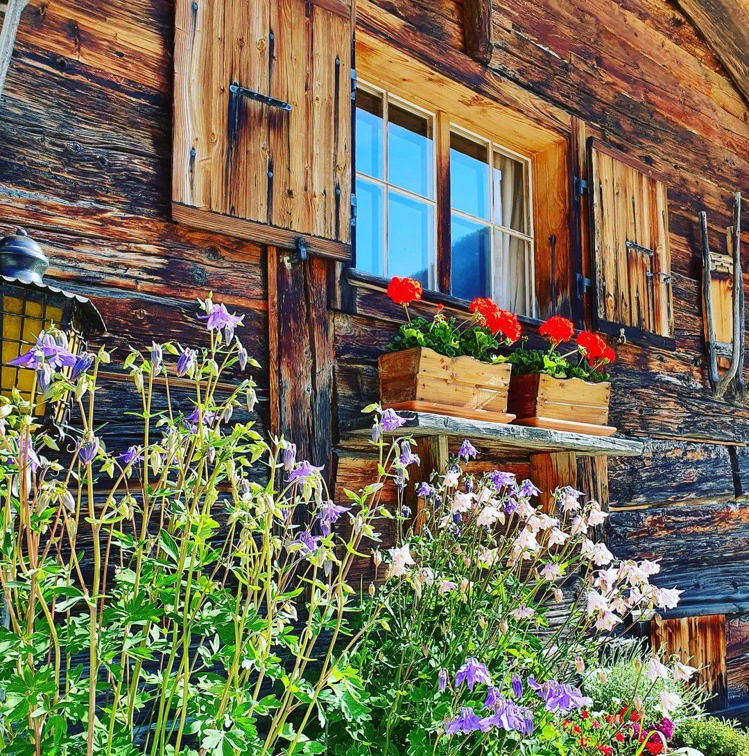 Fleurs de Grimentz