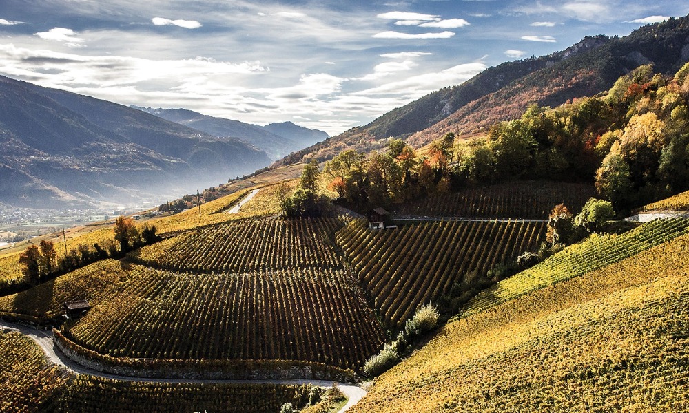 Wine in Crans-Montana